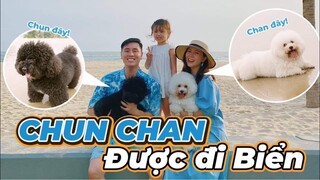 LẦN ĐẦU TIÊN CHUN CHAN ĐI BIỂN , MANG THÚ CƯNG ĐI DU LỊCH NHƯ THẾ NÀO