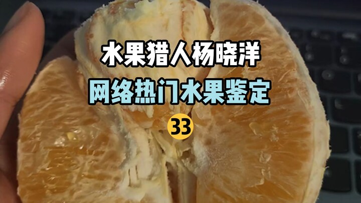 [Petualang Buah Hunter x Hunter] Identifikasi Buah Populer di Internet 33