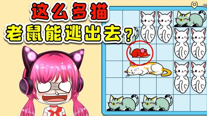 帮老鼠逃出猫窝！你自己看看，这有逃出去的可能？