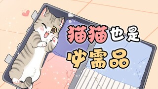 收拾行李时猫猫总是来捣乱怎么破？