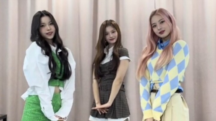【NMIXX】พี่สาวนักร้องคัฟเวอร์อัปเดตบน TikTok (20220520)