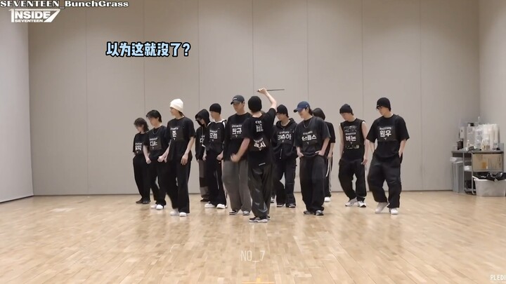 其实还有一只小笨咪也跳错了呢