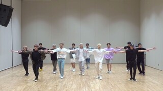 Seventeen's Formation Museum, Vol. 1. I really love the Home Run. I've never seen such a rich variet