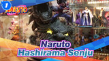 [Naruto] Sage Mode Hashirama Senju's Garage Kit, Unboxing_1
