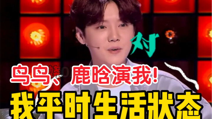 Birdy, Lu Han! Aku adalah suara hati para netizen! Kebiasaan hidupku sehari-hari tuh kaya gini…