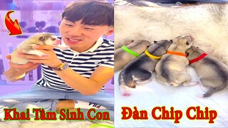 Thú Cưng TV | Gia Đình Gâu Đần #30 | Chó Golden thông minh vui nhộn | Pets funny cute dog