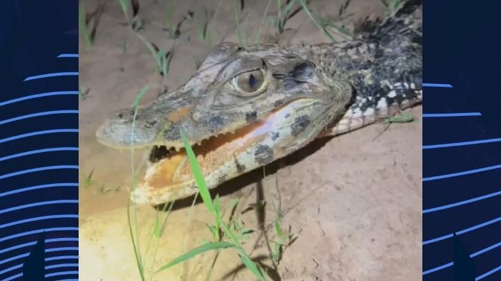 Bro could yoink Satan straight out of hell