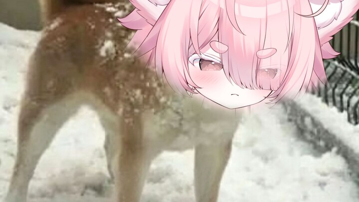 It’s over in seconds