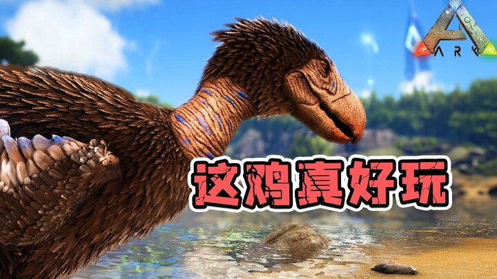 Ark: Survival Evolved: Chim khủng bố! Cánh gà đã có ý tưởng riêng của mình!