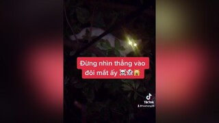 Nếu nhìn lâu vào đôi mắt ấy, bạn sẽ thấy kiếp sau ...👻👻 matmeo meocute meoxinh