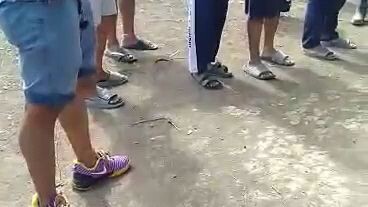 everybody happy 😁