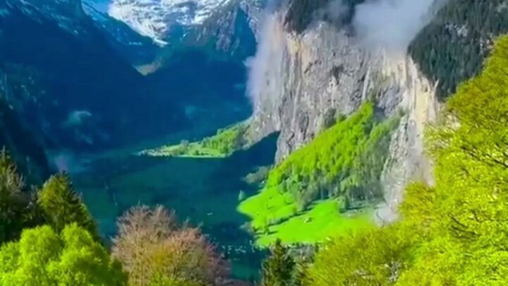 القطة لانغ بو كيو ما زالت بخير~ نفس المشاهد المليئة بالتوتر والإثارة واللقطات المذهلة التي تفاجئ الأ