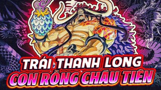 ONE PIECE | SỰ THẬT THÚ VỊ VỀ TRÁI THANH LONG CỦA KAIDO! TRÁI THANH LONG NÀY KHÔNG TRONG MÌ TÔM!