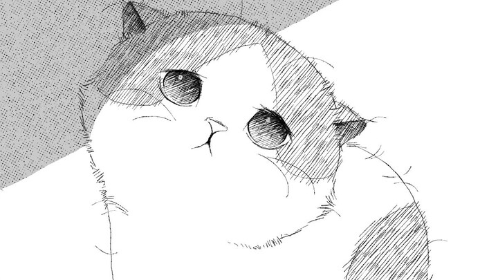 Oh oh, little milk cat 👆, awesome!