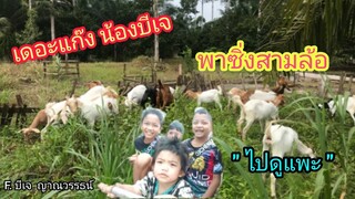 ตะลุยฟาร์มแพะ กับ เดอะแก๊ง | น้องบีเจ