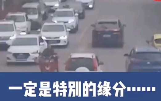 It must be a special kind of fate...