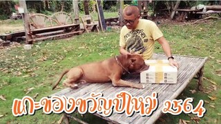 ของขวัญปีใหม่ 2564 จากพี่อารยา