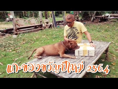 ของขวัญปีใหม่ 2564 จากพี่อารยา