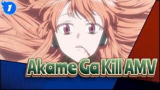 Akame Ga Kill AMV_1