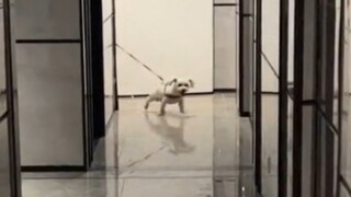 想当年我谈恋爱的时候也是这样