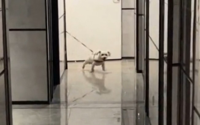 Back in the day, I was just like this when I was in a relationship.