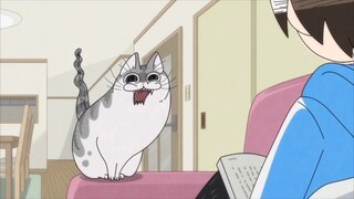 If Meow Meow doesn't show my power, you will think I am Hello KT!