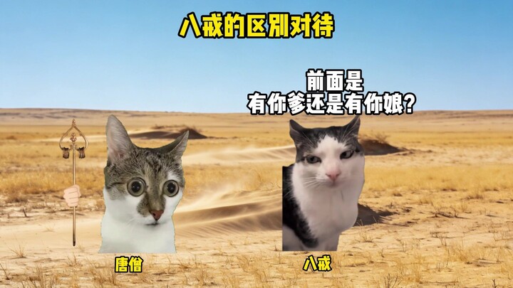 التعامل التمييزي مع باجي