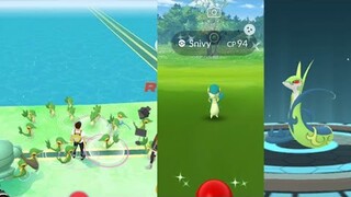 Shiny Snivy Community Day. Frenzy Plant legacy moves.