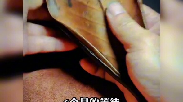 Leaves can also be reborn and become lacquer art