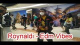 Roynaldi - Edm Vibes