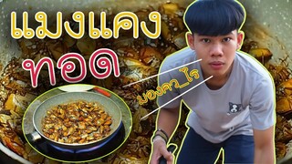 แมงแคงทอด"อาหารบ้านๆ"
