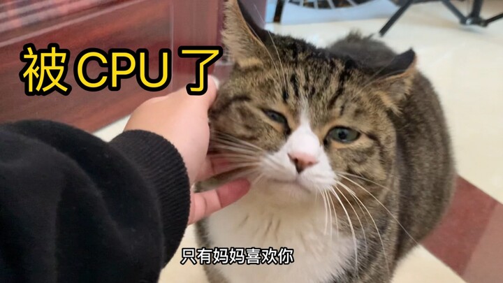 คุณแม่ช่างดีเหลือเกิน