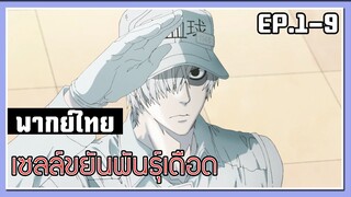 บาย เชื้อโรคคุง l Cells at Work! EP.1-9 l พากย์ไทย