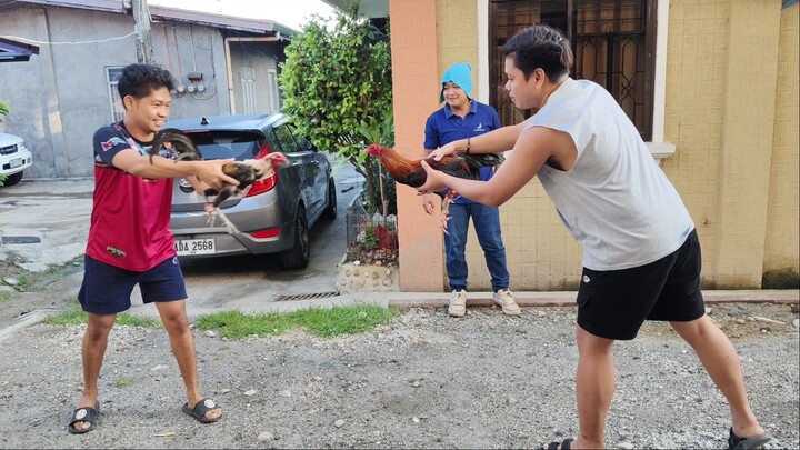 Napagkatuwaan Ng mga tropa. pinagpractisan magtari. Grey Vs. Sweater