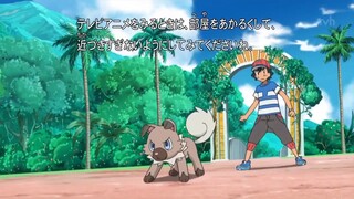Pokemon Sun And Moon Tập 19