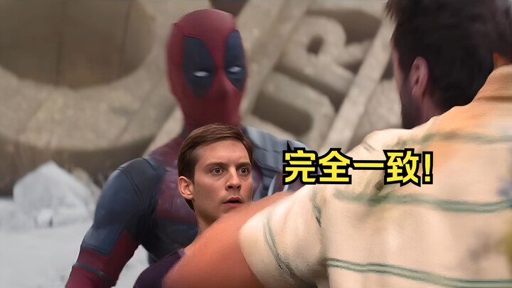 完全一致?!什么死侍与金刚蜘蛛狼？