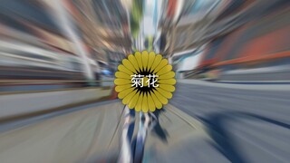 【绿幕素材】自制星穹铁道遭遇对战模板