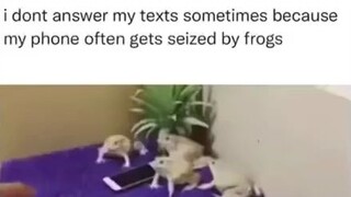 Frogs