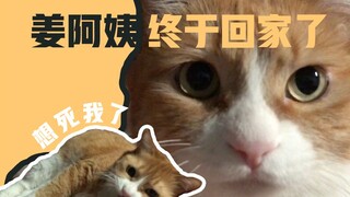 papi酱的大小咪：姜阿姨终于回家了！我攒了三个星期的口水终于派上用场了！