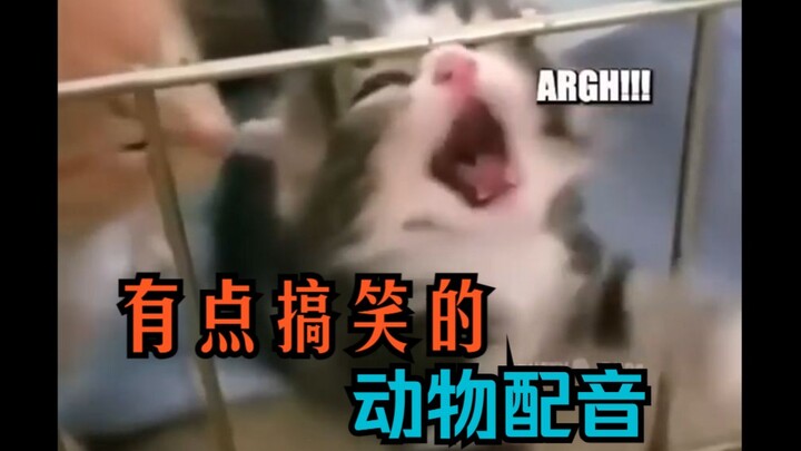 Lồng tiếng động vật hơi buồn cười EP7