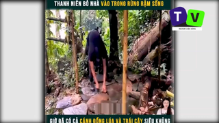 Cuộc sống trong rừng p2