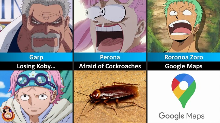 The Deepest Fears of One Piece Characters