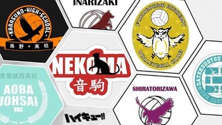 INILAH ROSTER BARU TIM DI HAIKYUU SETELAH KELAS TIGA PENSIUN - Haikyuu Indonesia #2