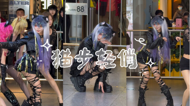 Apa yang harus dilakukan jika kucing yang dibawa pulang terus-menerus bersuara?