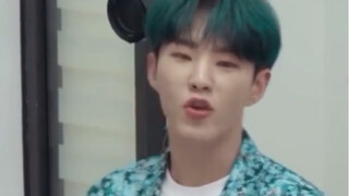 [Seventeen][Hoshi Kwon Soon-young] Phản ứng của Kwon Chang khi ai đó nói anh là hổ