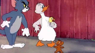 Little Quacker (1950)