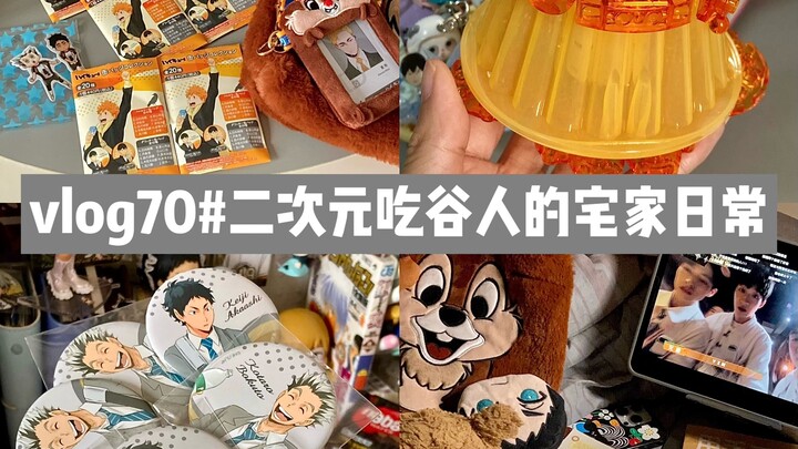 2D Otaku Home Vlog: Unboxing Volleyball Merch / Building Brick Figures of Valvrave / Evening Variety