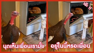 นุดเห็นเพื่อนเรามั้ย ในเตาอบนั้นอะไรนุด !! ( รวมฮาพากย์ไทย )