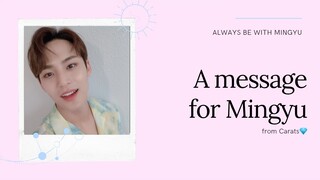 A message for Mingyu from Carats | Mingyu's Birthday Special Project