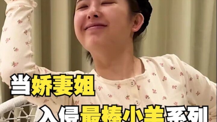 Silly Sheep is here!